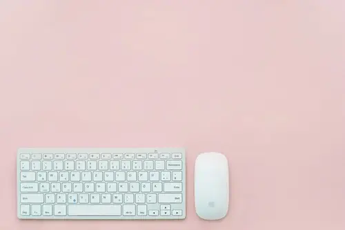 Payroll support for your business